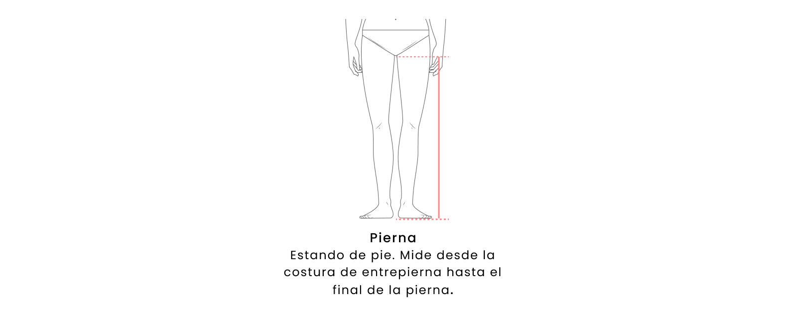 Cómo tomar medidas - Parte inferior