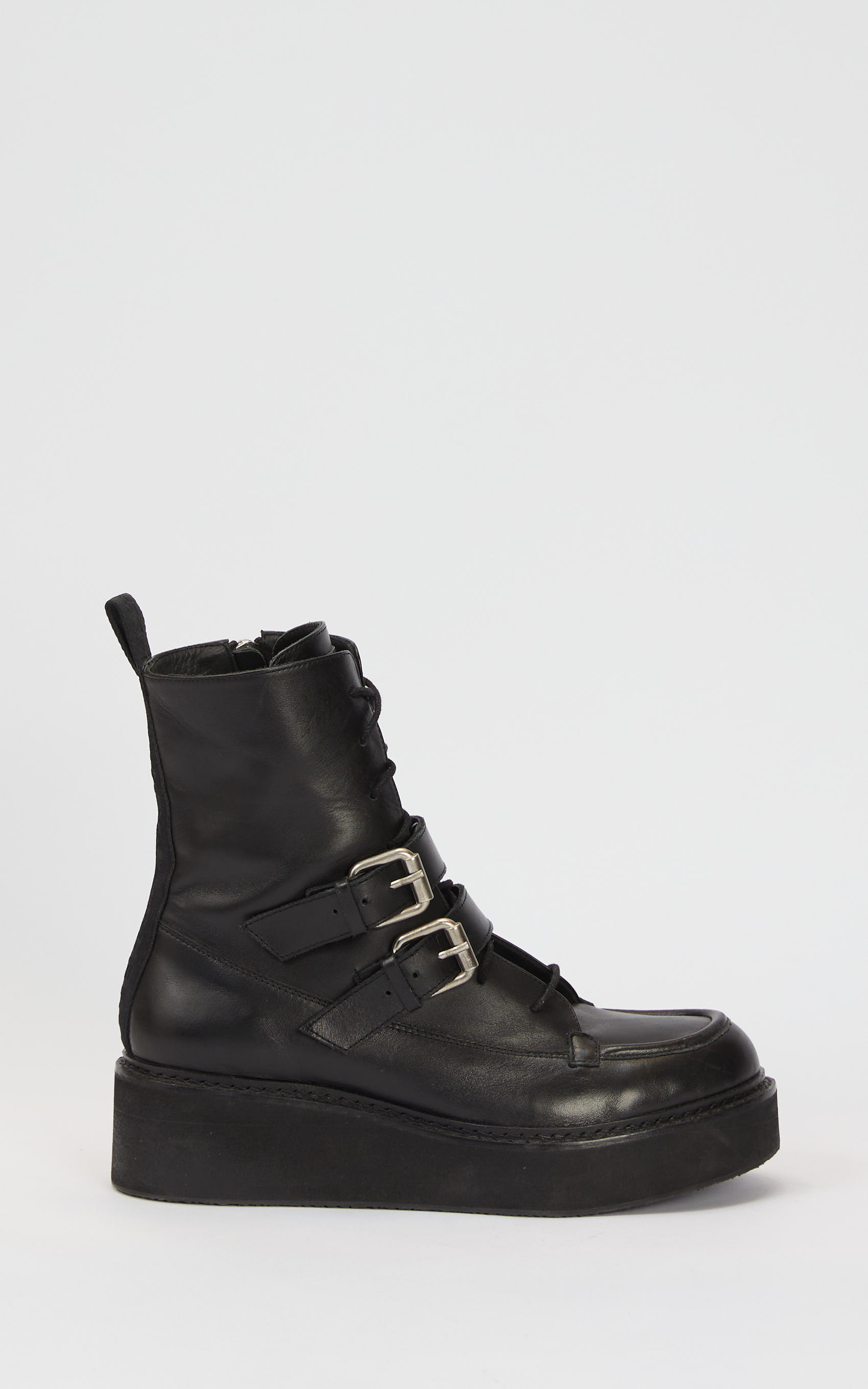 Borcego Negro