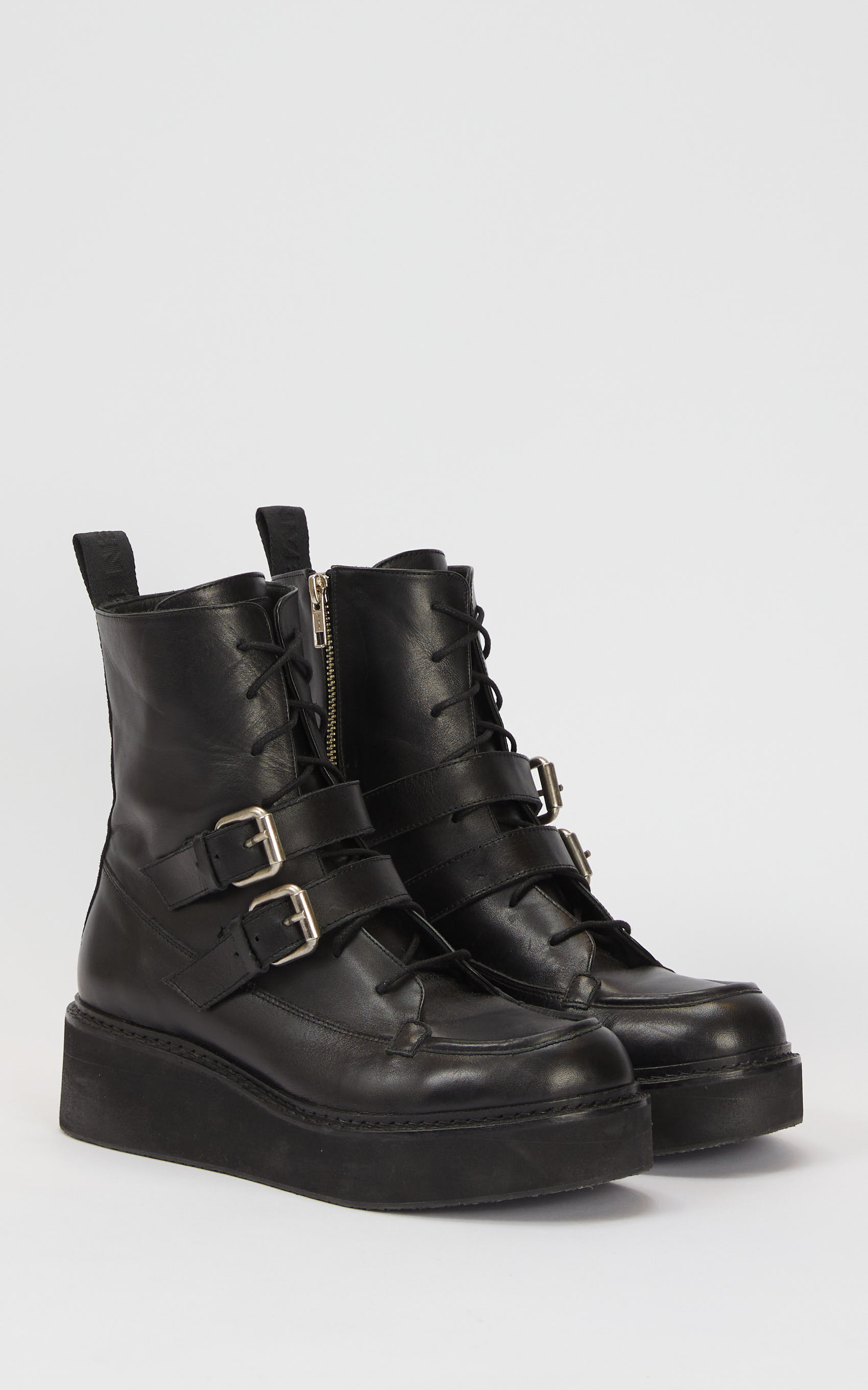 Borcego Negro