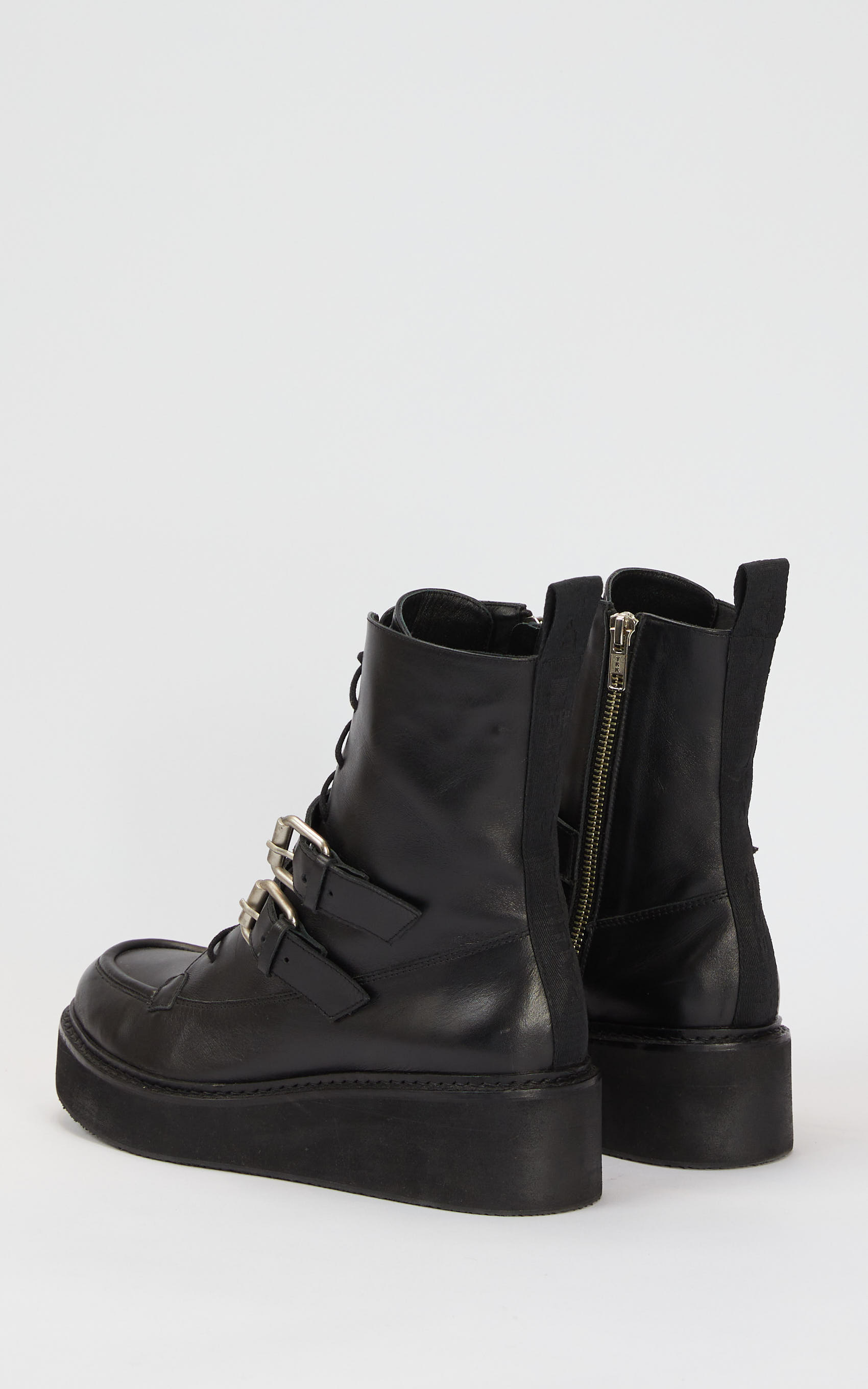 Borcego Negro