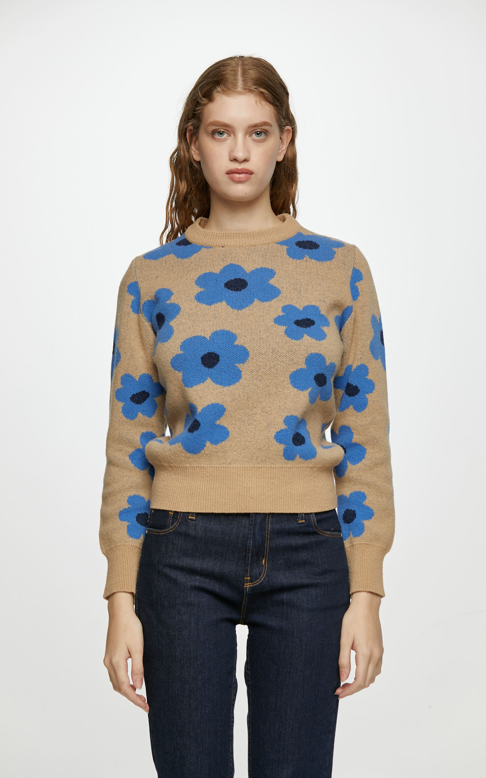 Sweater Multicolor