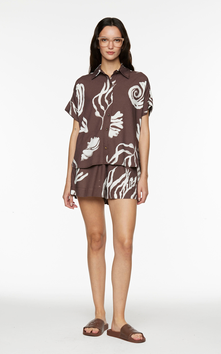 Camisa Marrón