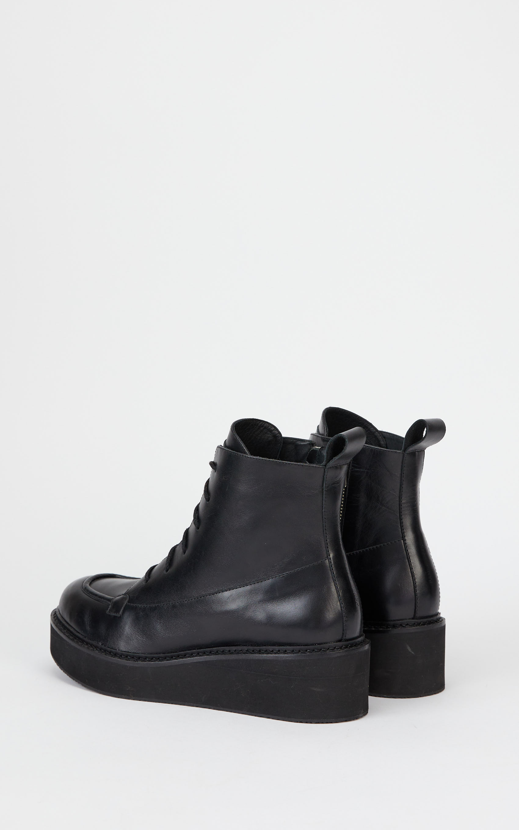 Borcego Negro