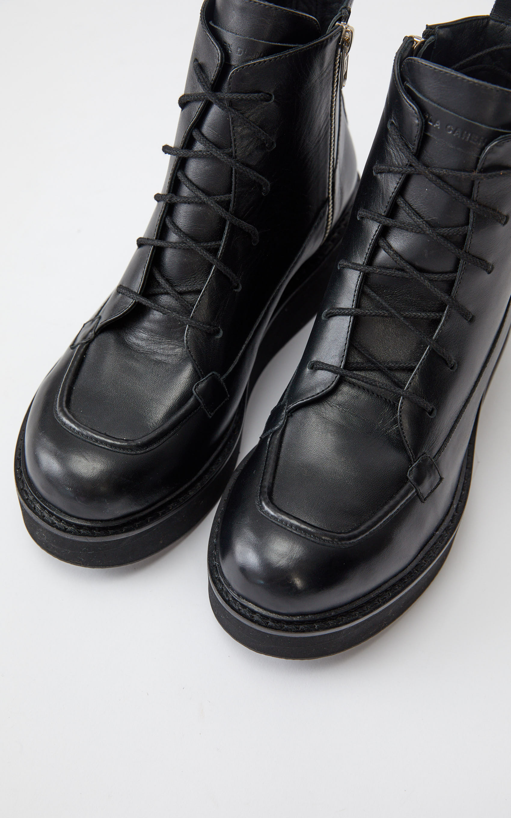 Borcego Negro